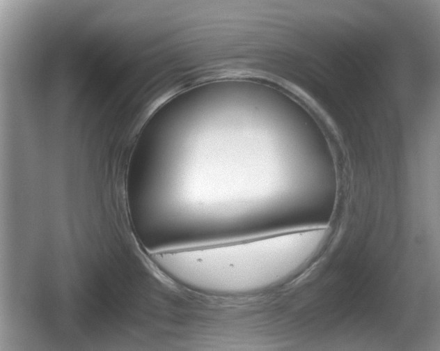 X0000066541289200603241401