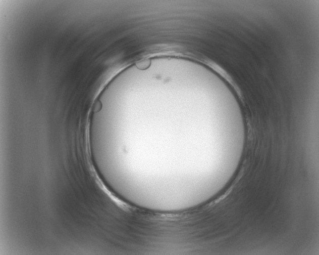 X0000066541290200603241401