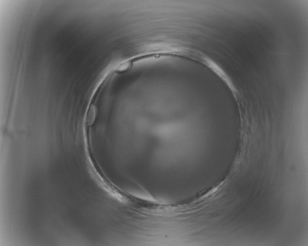 X0000066541291200603241401