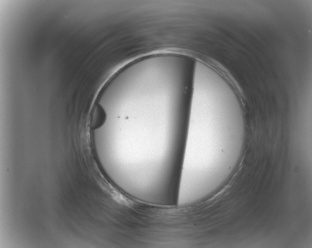 X0000066541292200603241401