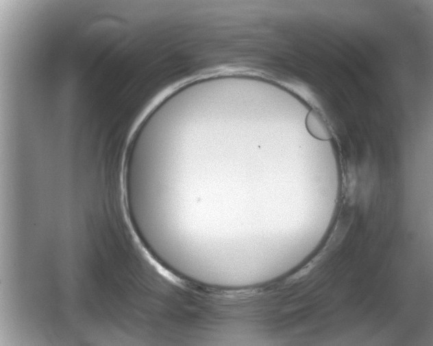 X0000066541294200603241401