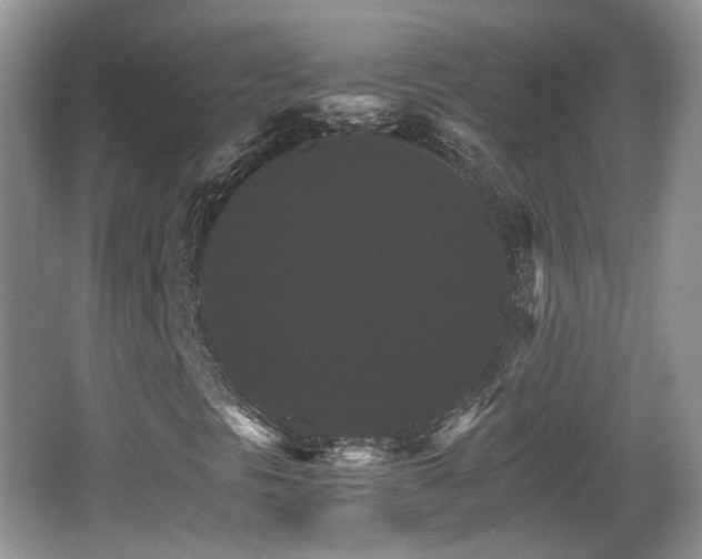 X0000066541297200603241400