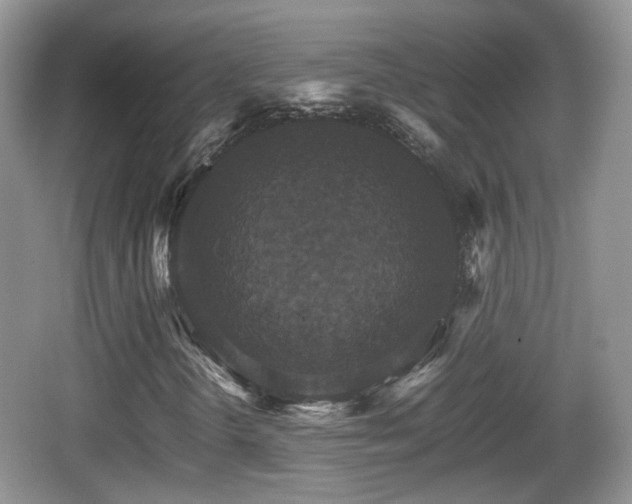 X0000066541298200603241400