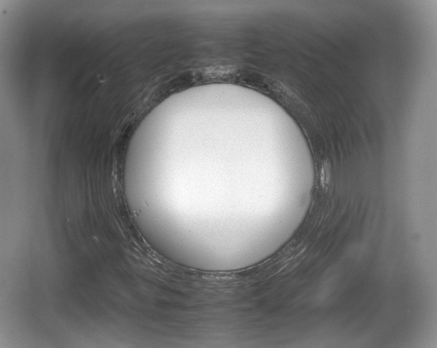 X0000066541299200603241400