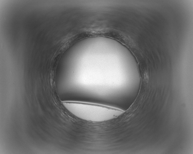 X0000066541300200603241400