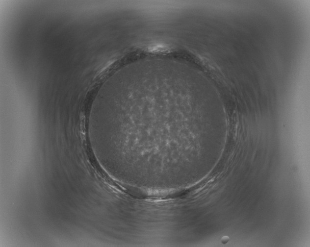 X0000066541301200603241400