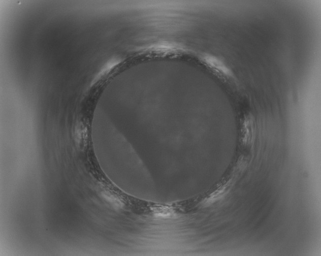 X0000066541302200603241401