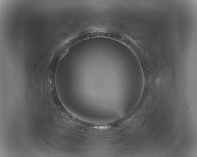 X0000066541303200603241401