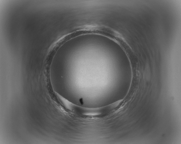 X0000066541304200603241401