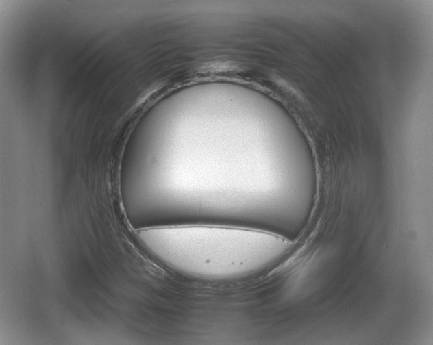 X0000066541305200603241401