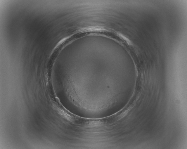 X0000066541306200603241401