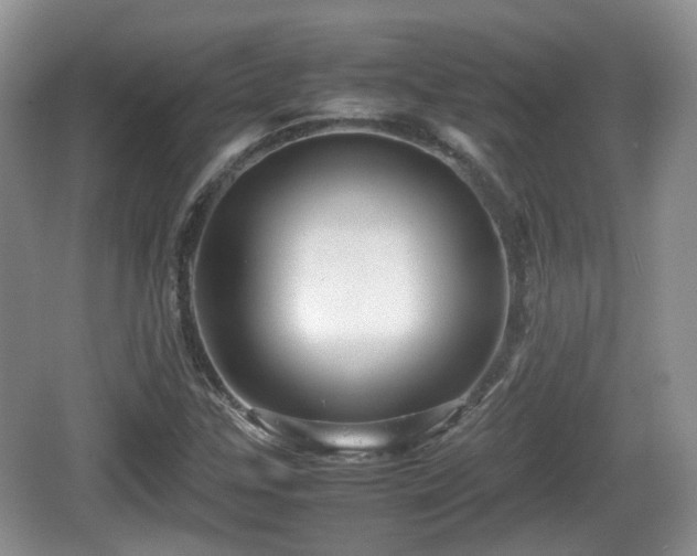 X0000066541307200603241401