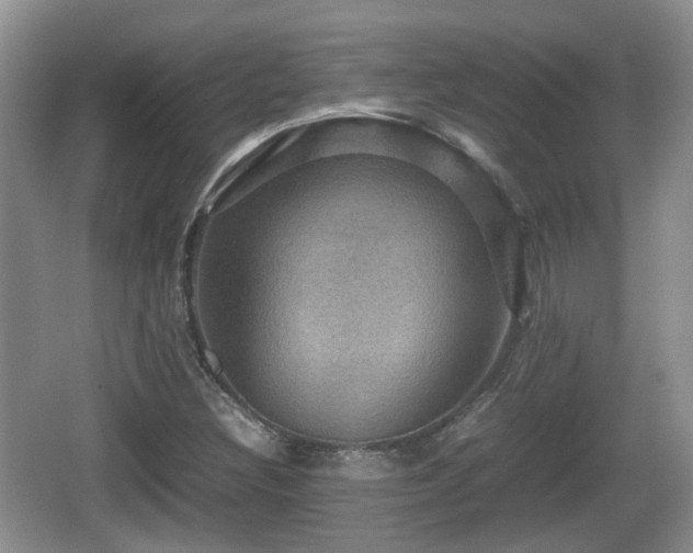 X0000066541308200603241401