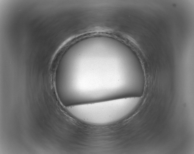 X0000066541310200603241401