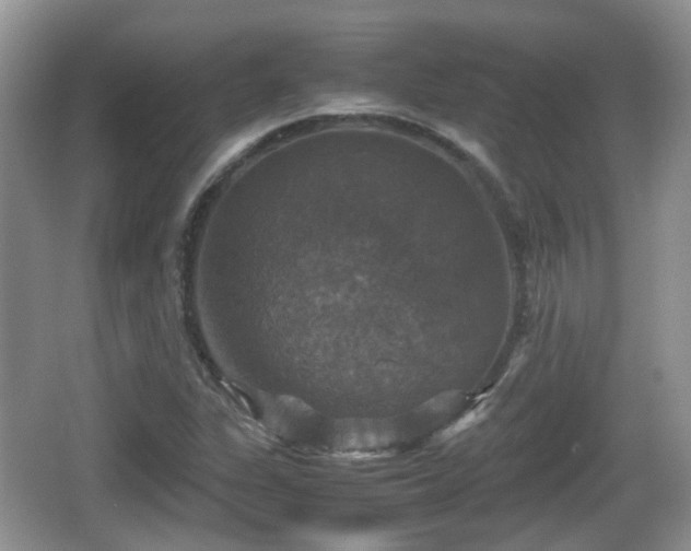 X0000066541311200603241401