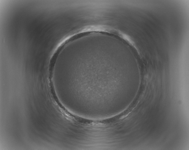 X0000066541312200603241401