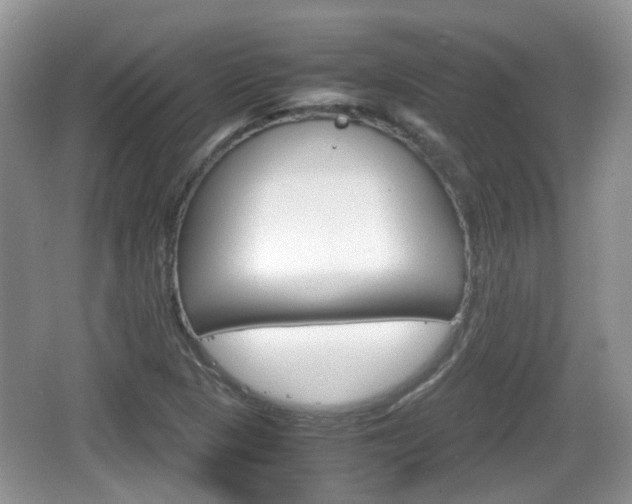 X0000066541313200603241401