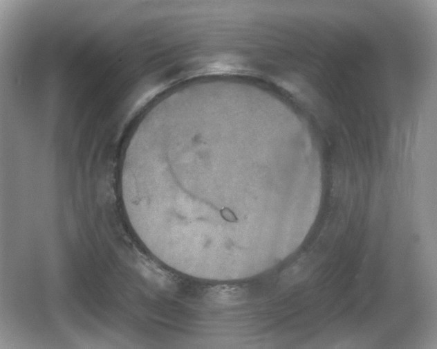 X0000066541314200603241401