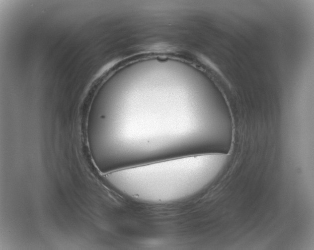 X0000066541315200603241401