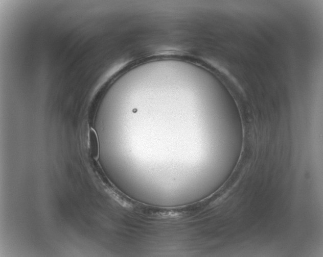 X0000066541317200603241401