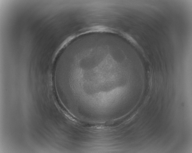 X0000066541318200603241401