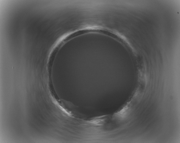 X0000066541319200603241401