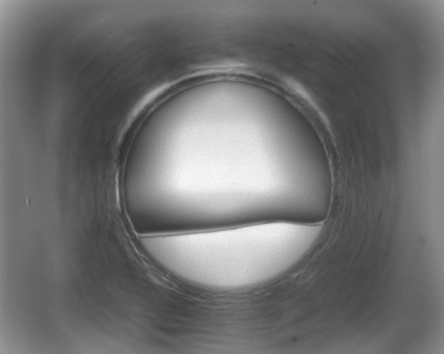 X0000066541320200603241401