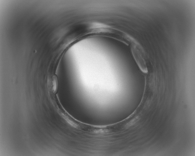 X0000066541321200603241401