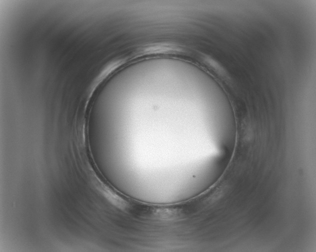 X0000066541322200603241401