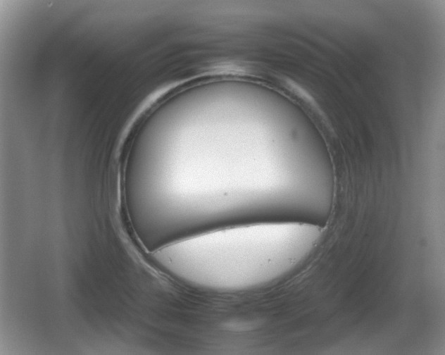 X0000066541323200603241401