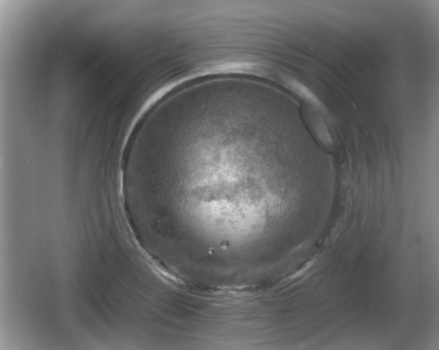 X0000066541324200603241401