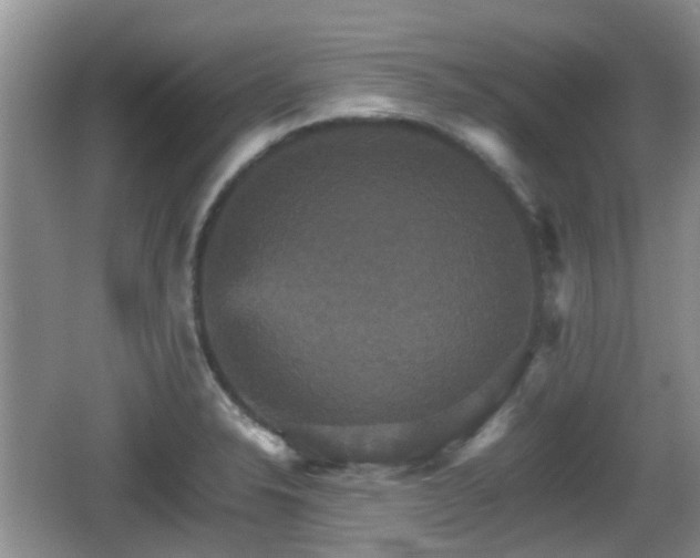 X0000066541326200603241401