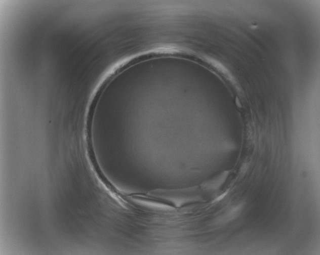 X0000066541327200603241401