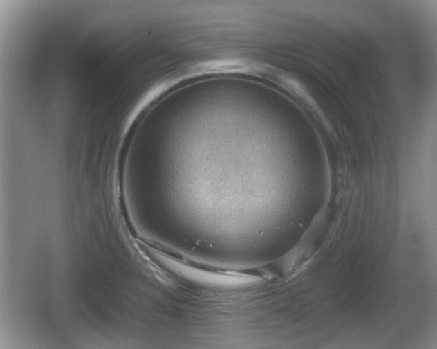 X0000066541328200603241401