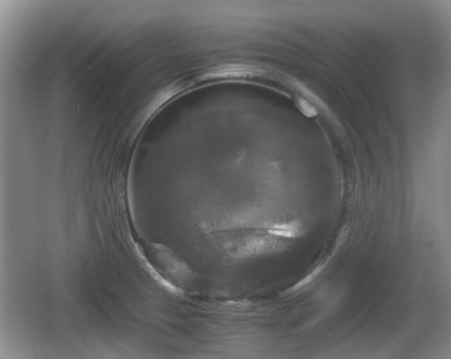 X0000066541329200603241401