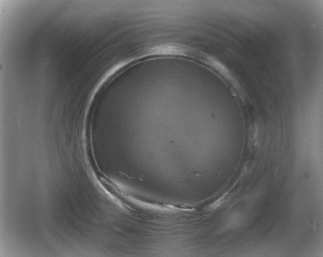 X0000066541331200603241401