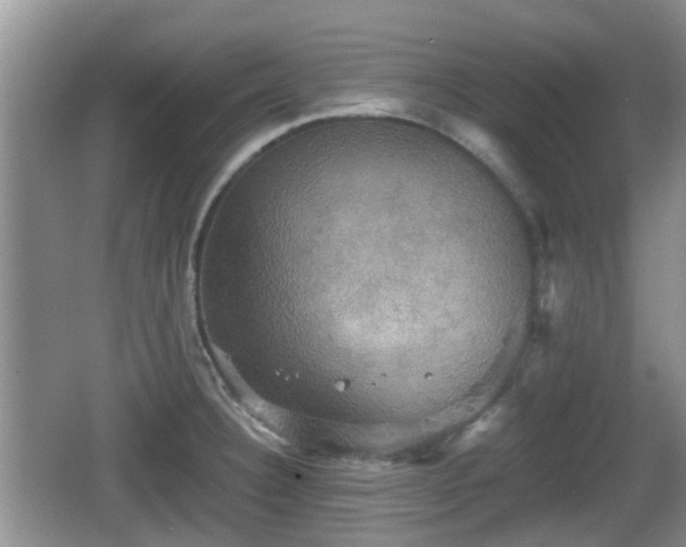 X0000066541332200603241401