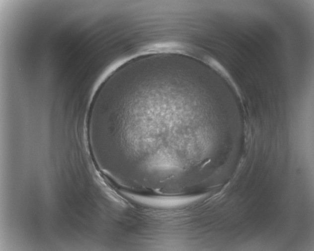 X0000066541336200603241401