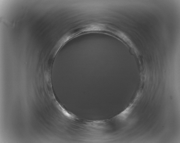 X0000066541337200603241401