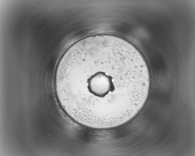 X0000066541338200603241401