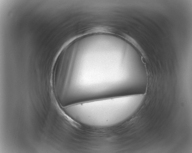 X0000066541339200603241401