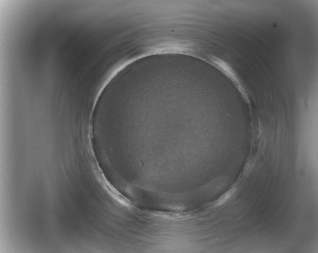 X0000066541340200603241401