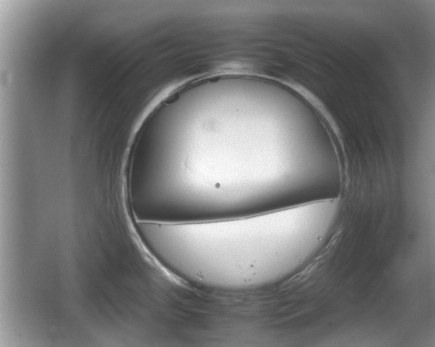 X0000066541341200603241401