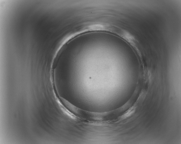 X0000066541342200603241401