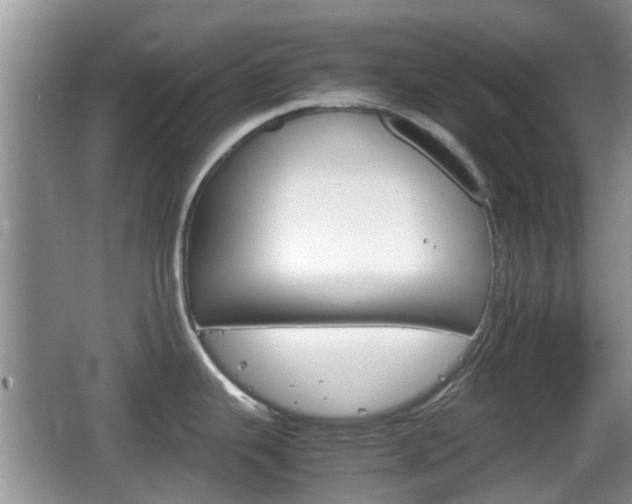 X0000066541343200603241401