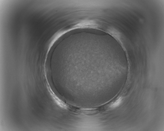 X0000066541344200603241401