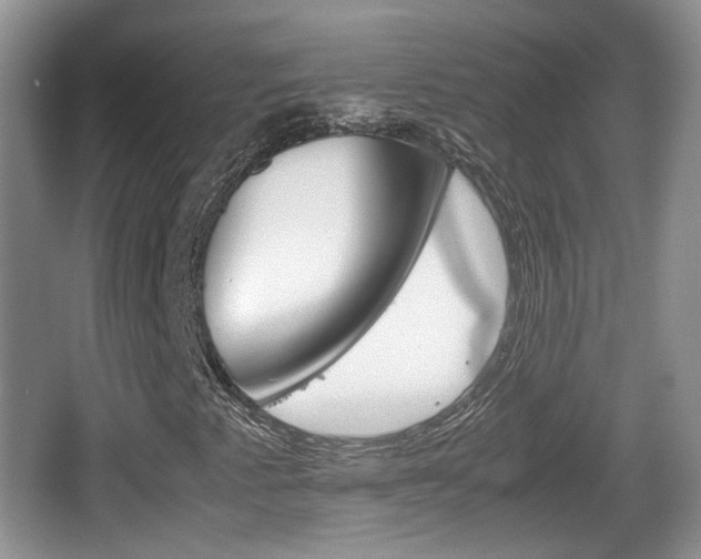 X0000066541345200603241400