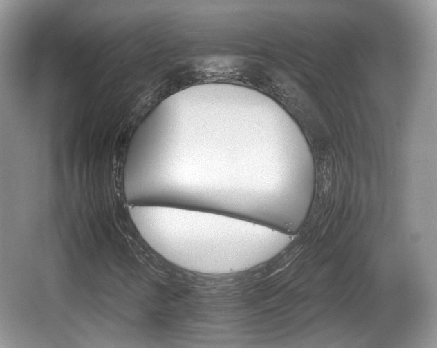 X0000066541346200603241400