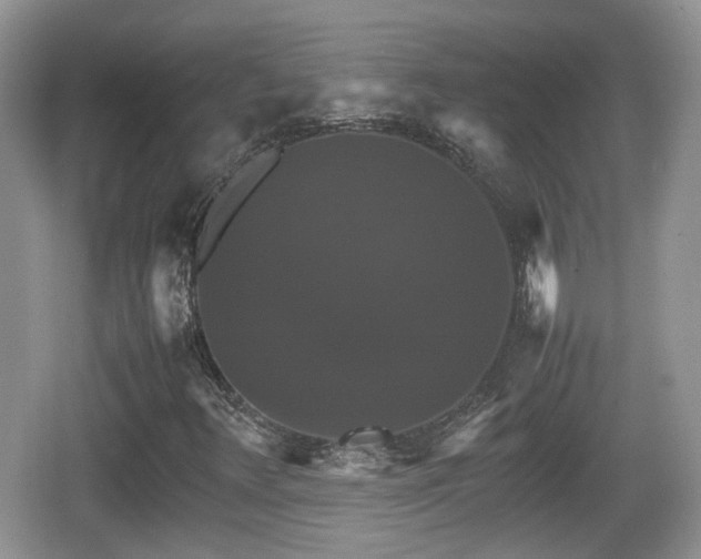 X0000066541348200603241400