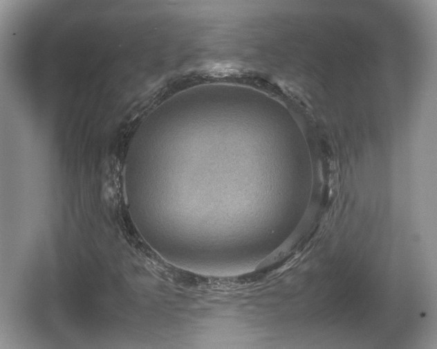 X0000066541349200603241400